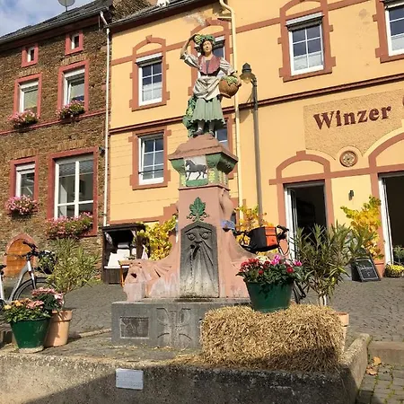 Ferienwohnung Froeschenpuhl Neu Traben-Trarbach Exterior photo