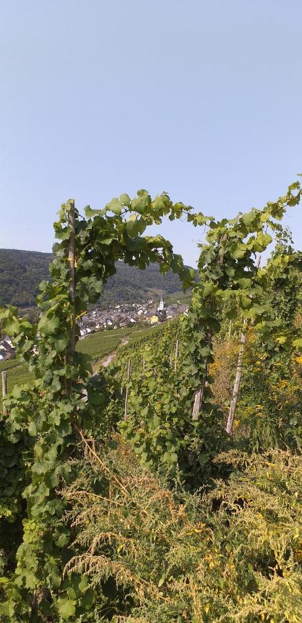 Froeschenpuhl Neu Apartment Traben-Trarbach